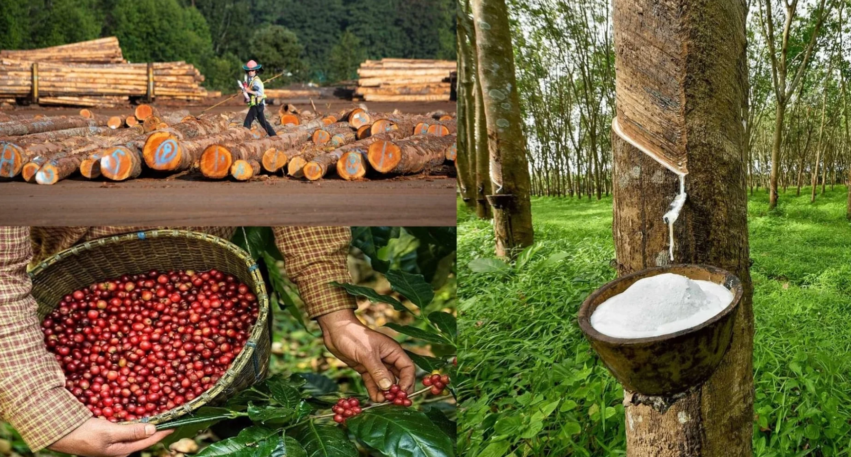 Three billion-dollar export sectors up value chain